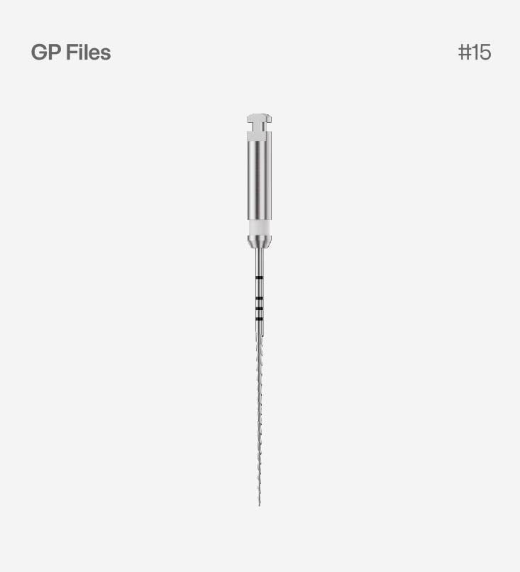 GP Files