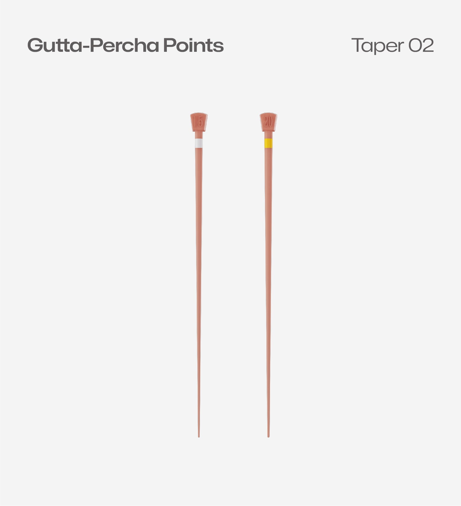 Gutta Percha Points